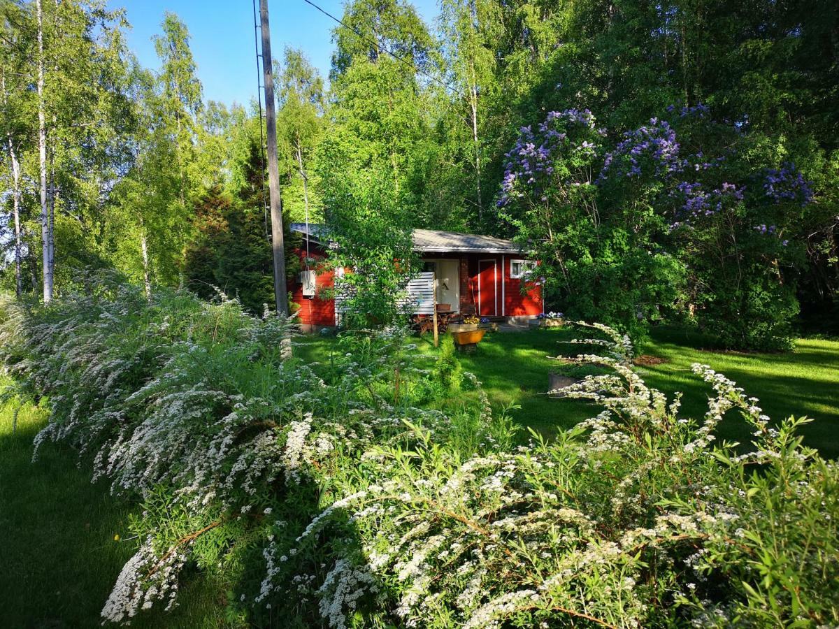 Koivuniemi Cottage Säkylä Екстериор снимка