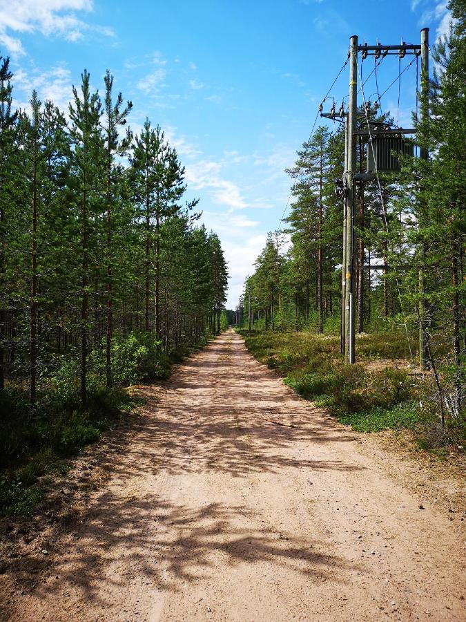 Koivuniemi Cottage Säkylä Екстериор снимка